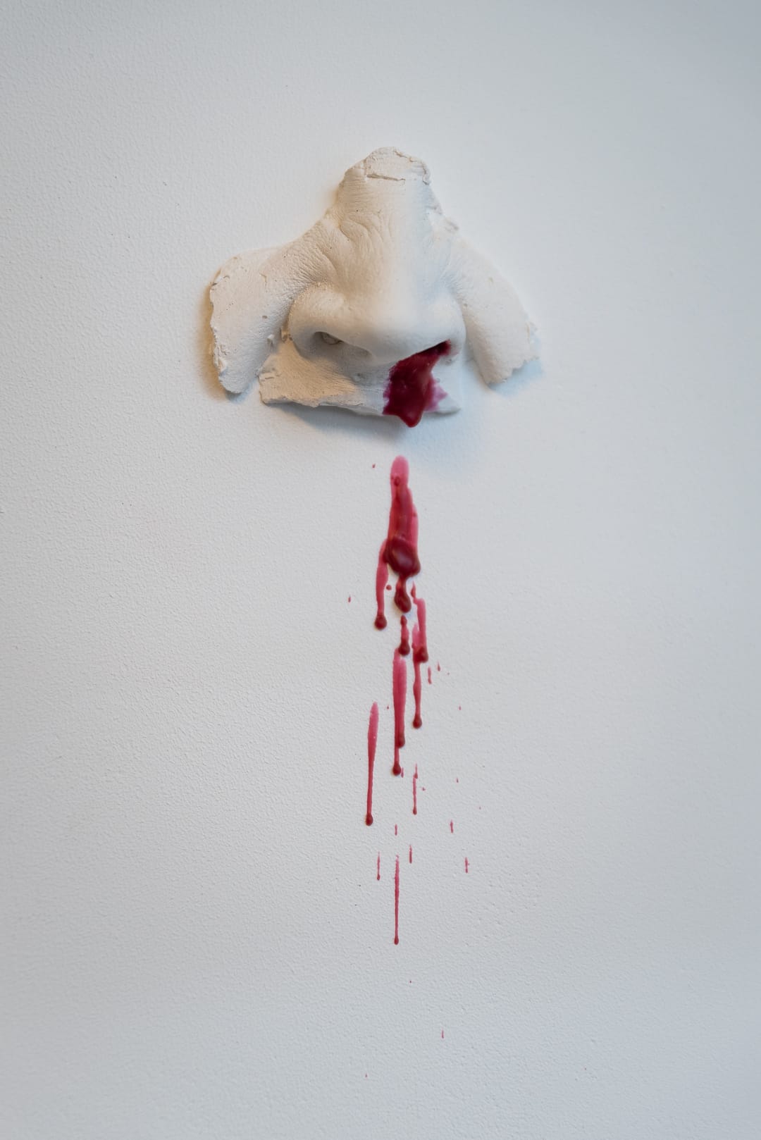 kunst - Ingrid Slaa - beeld - neus - gips