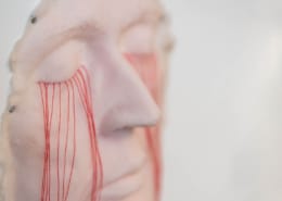 kunst - Ingrid Slaa - beeld - gezicht - siliconen