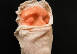 kunst - Ingrid Slaa - beeld - gezicht - wax