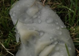 kunst - Ingrid Slaa - foto - gezicht - wax