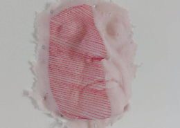 Ingrid Slaa l beeld - siliconen - gezicht - titel schijn l sculpture - silicon - face - title pretence (1)